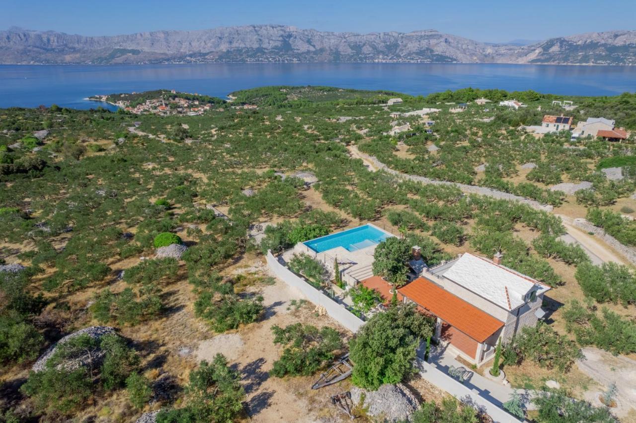 Villa Olive Park House Brac Povlja  Esterno foto
